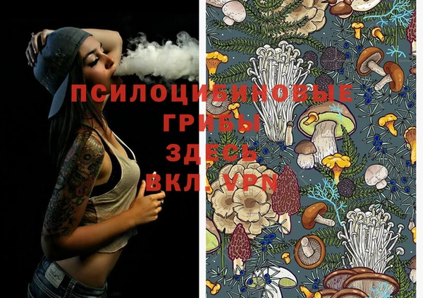 хмурый Протвино