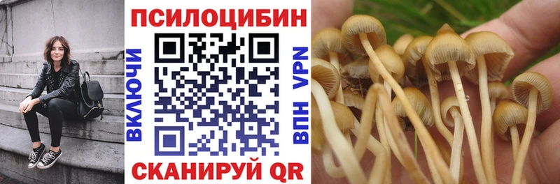 Псилоцибиновые грибы мицелий  Нелидово 